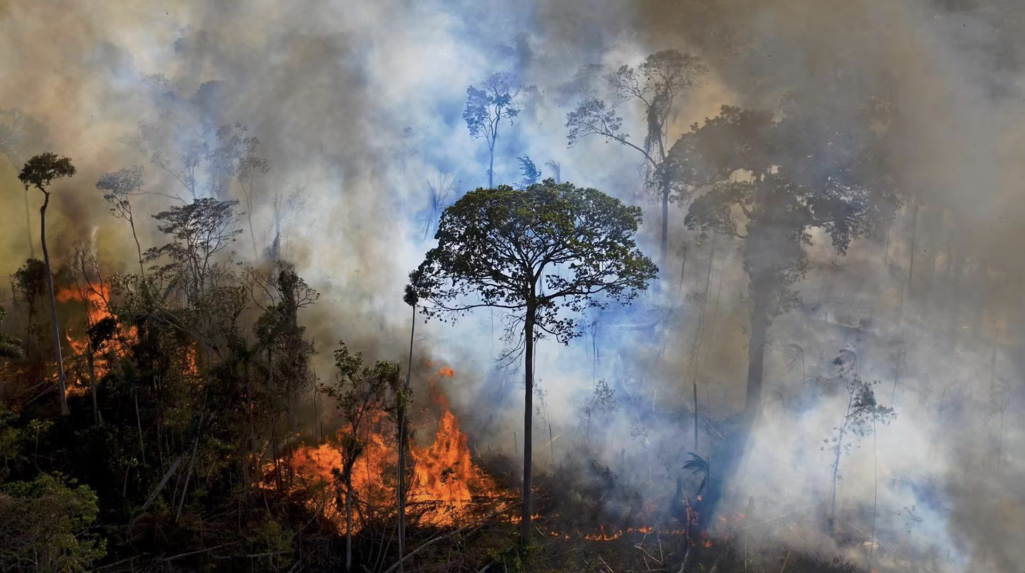 Feux de forêts en Amazonie, février 2024. © AFP /CARL DE SOUZA