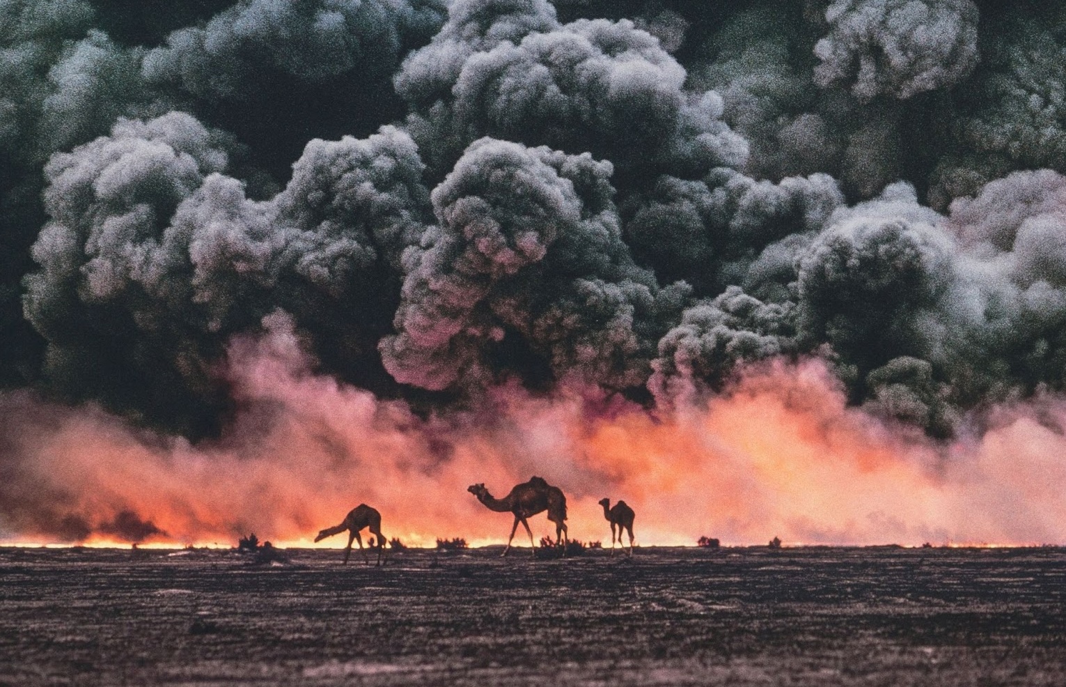 Crédit : Steve McCurry, Ahmadi Oil Fields, Kuwait, 2011