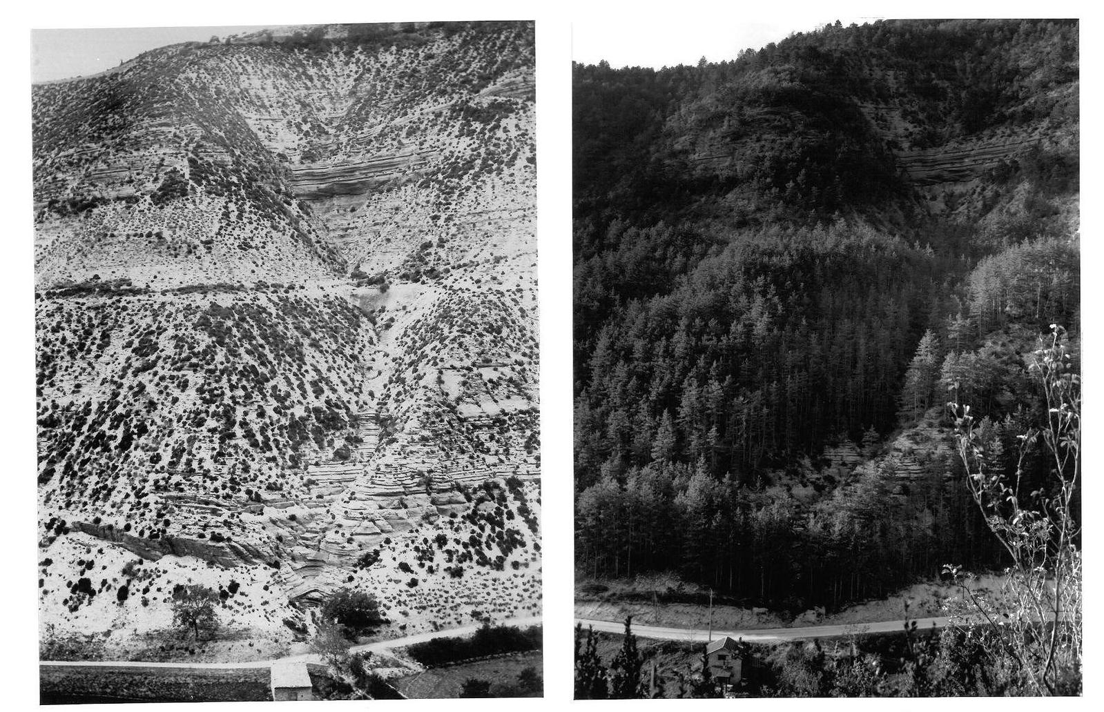 Le village de Treschenu-Creyers (Drôme) avant (1904) et après (1995) les reboisements / © ONF
