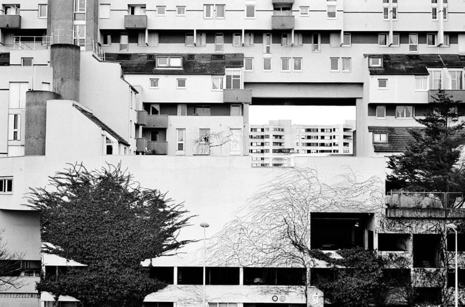 © Bertrand Meunier / Tendance floue